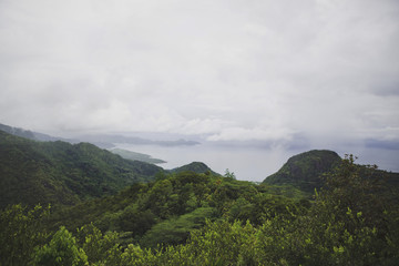Fototapeta na wymiar Beautiful bird's-eye view of the rainforest, ocean and mountains.