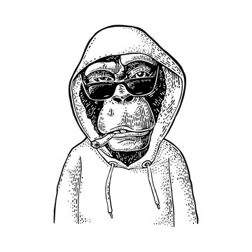 Monkey hipster with cigarette dressed in the hoodie. Vintage black engraving