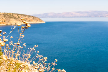 Greek coastline on sunny day