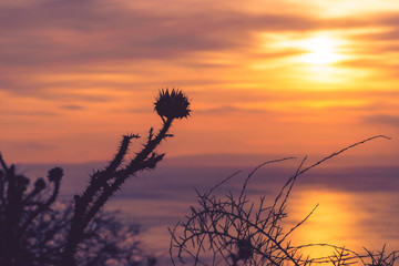 Fototapeta premium Sunset or sunrise over sea surface