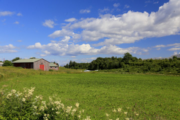 Obraz premium Cycling on the island of Ylvingen a great summer day, Northern Norway