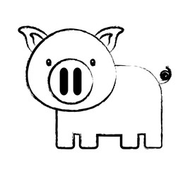 sketch of cute pig icon over white background, vector illustration