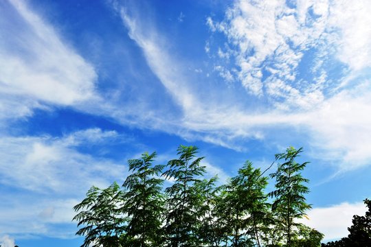 Sky is the limit