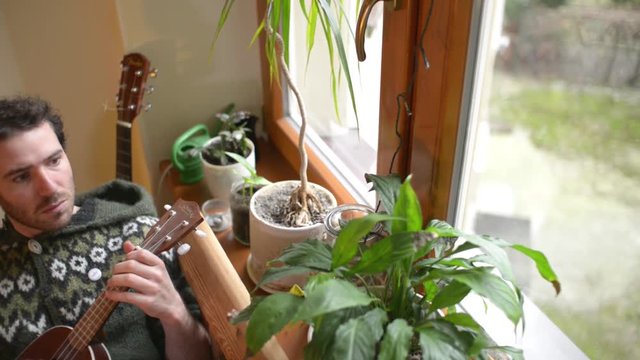 A Man play on a Mandoline near the Window at Home in Living Room - Day