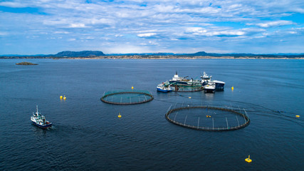 Salmon fish farm in fjord. Norway, Bergen.