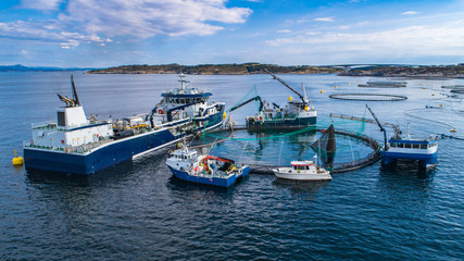 Salmon fish farm in fjord. Norway, Bergen.