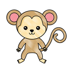 cute monkey icon over white background, colorful design. vector illustration