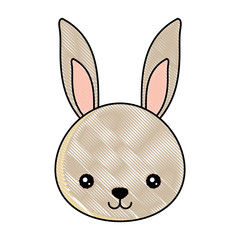 cute rabbit icon over white background, colorful design. vector illustration