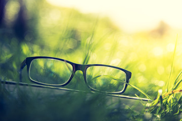 Brille auf Buch draußen im Gras, Intelligenz, Textfreiraum