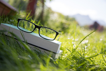 Brille auf Bücherstapel draußen im Gras, Intelligenz, Textfreiraum