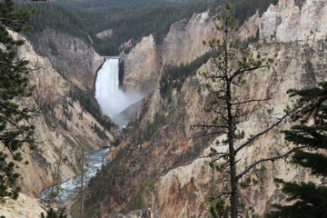 Grand Canyon of the Yellowstone