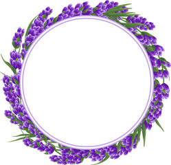 background of purple lavender flowers, watercolor style flowers. elegant flowers. vector illustration.