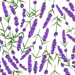 seamless pattern of purple lavender flowers, watercolor style flowers. elegant flowers. vector background