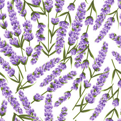 seamless pattern of purple lavender flowers, watercolor style flowers. elegant flowers. vector background