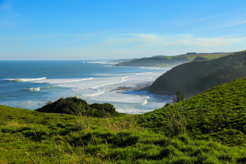 Beach at the East London Coast Nature Reserve, Eastern Cape province, South Africa