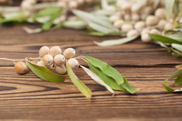 Raw olives on twig with green leaves on old rustic wooden table