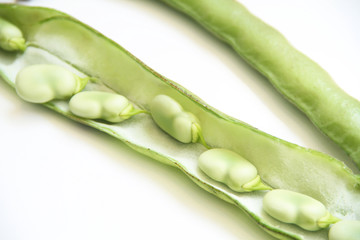 Pod, Sao Paulo, Brazil