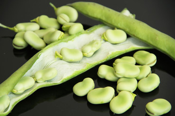 Pod, Sao Paulo, Brazil