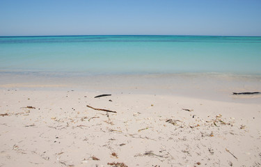 Cayo