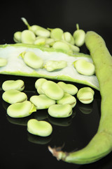 Pod, Sao Paulo, Brazil