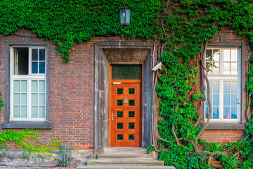 The wooden door and two windows of the building, overgrown with beautiful ivy