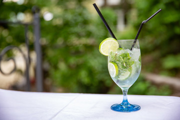 Mojito cocktail with lime and mint in highball glass on nature background
