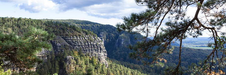 Panoramic view on view of the rocky mountainside covered with forest