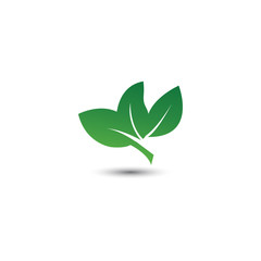 Abstract leaf logo icon template