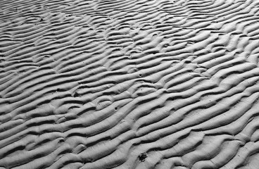 Foehr / Germany: Closeup of the texture of the dry fallen seabed in the Frisian Wadden Sea in the April sun