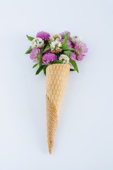 Flowers in ice cream cone on white background. Flat lay.