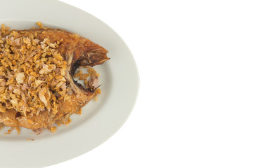 asia-asian food. thai food. fried nile tilapia river fish with garlic. on dish ceramic. isolated on white background. space