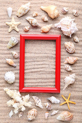 Seashells with red wooden frame on beach sand