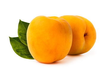 Two ripe apricots on a white background.