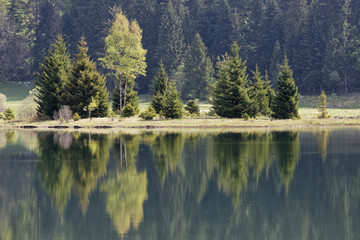 Reflets sur le lac