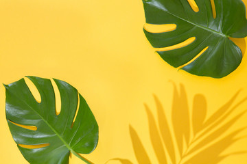 Fototapeta na wymiar Top view of green tropical leaves Monstera and Areca on yellow background. Flat lay. Summer concept with palm tree leaf, copyspace. Vacation, holiday, travel, sun background