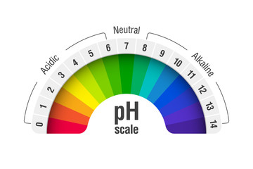 pH value scale chart for acid and alkaline solutions, acid-base balance infographic - obrazy, fototapety, plakaty