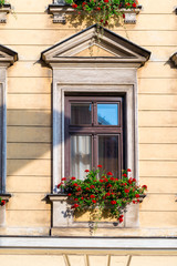 Fototapeta na wymiar wooden house window with beautiful red flowers in a pot closeup