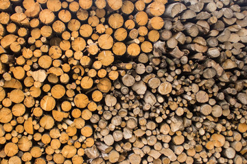an image of wood texture  background