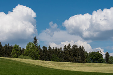 Allgäuer Hügellandschaft