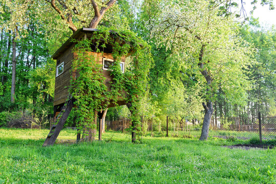 House on tree in green spring garden