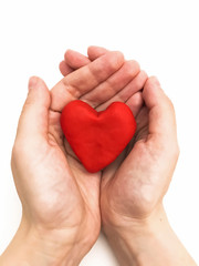 Red heart in hands on a white background