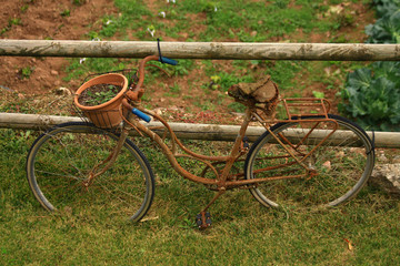 an old bicycle