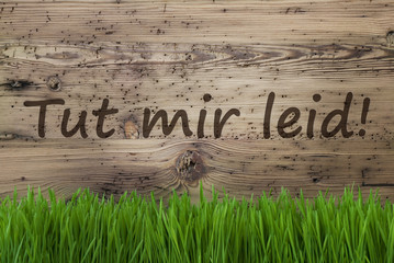 Aged Wooden Background, Gras, Tut Mir Leid Means Sorry