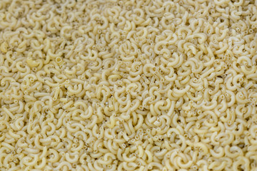 image background of raw flour product short vermicelli. Background of vermicelli. Pasta