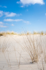 Dünengras, Dünen und feiner Sand hochkant