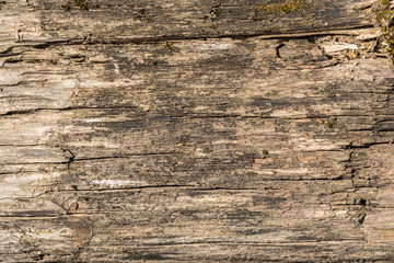 the texture of old dry weathered cracked wood, cracks along the fibers of logs, close-up abstract...
