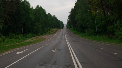 Empty road between forest trees