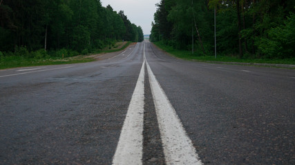 Fototapeta na wymiar Empty road between forest trees