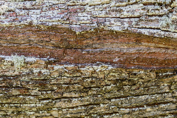 the texture of old dry weathered cracked wood, cracks along the fibers of logs, close-up abstract...