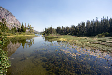 Sanfte Landschaft der Mammoth Lakes in Kalifornien. Die Wälder und gelben Pflanzen spiegeln sich...